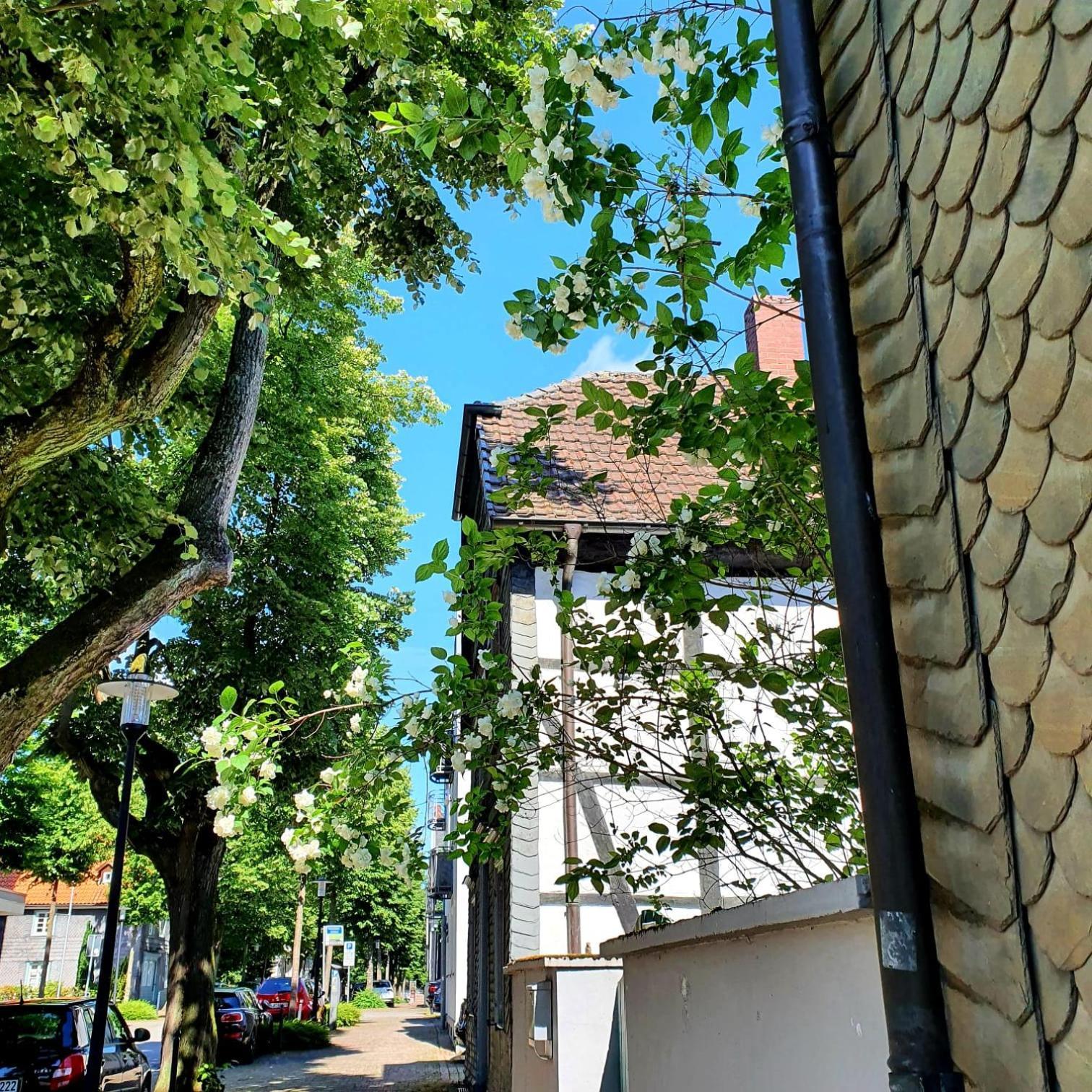 Stadt Land Fluss Plus Arnsberg Exterior photo